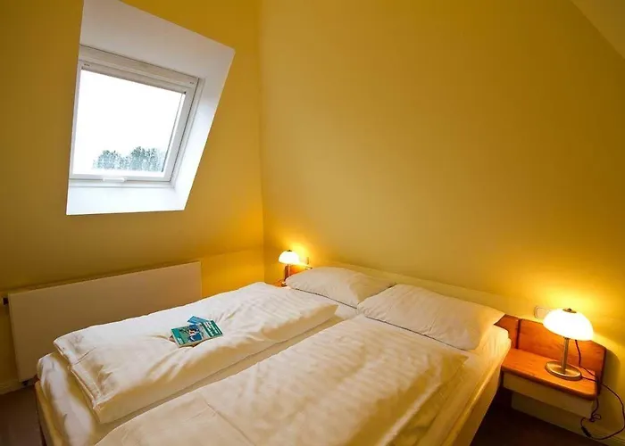 Appartement Wohnung-lee Nebel